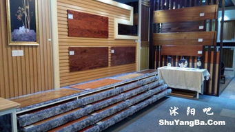 廠(chǎng)家直銷(xiāo) 裝飾建材與建筑裝飾材料的優(yōu)勢(shì)與選擇